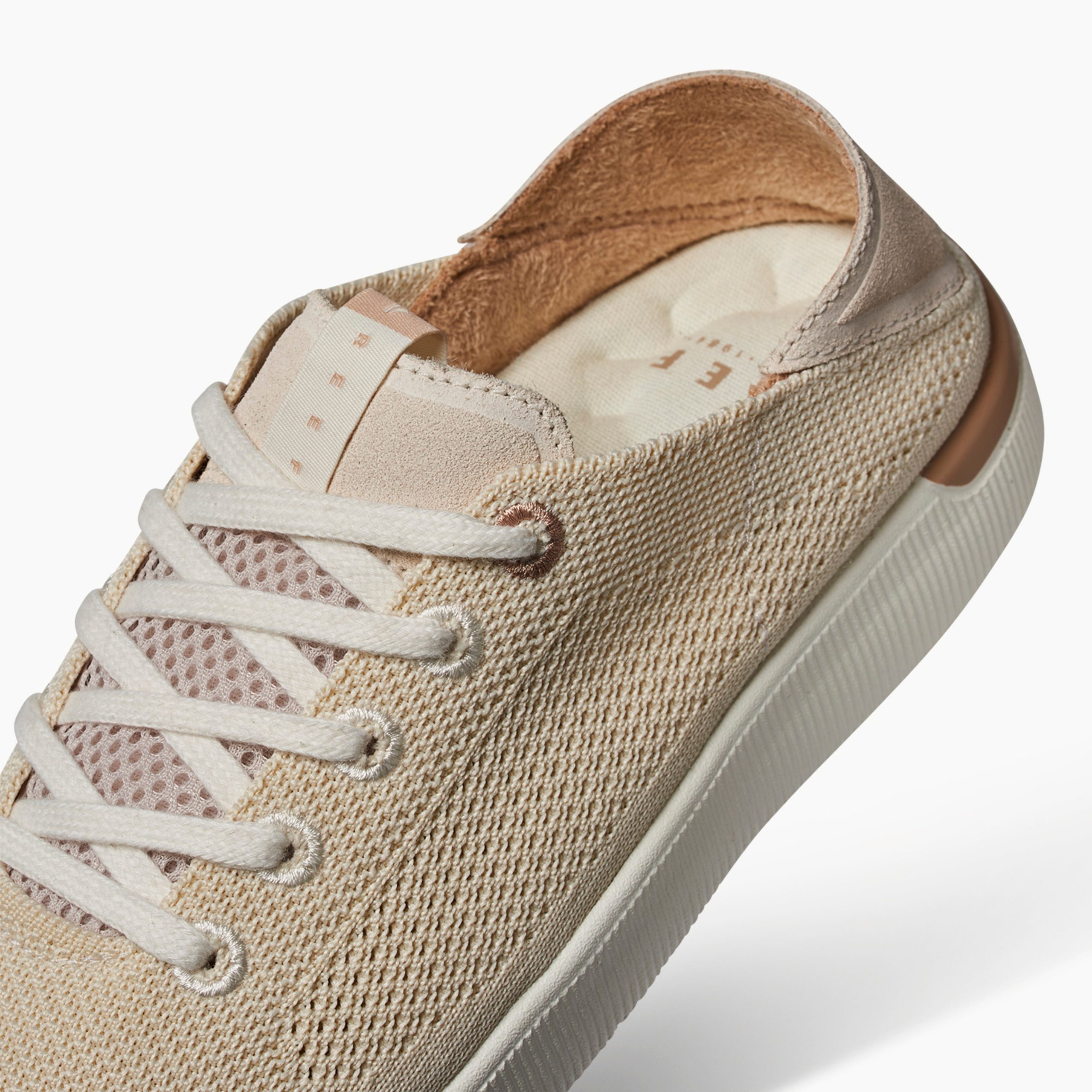 Reef Neptune - Image 6