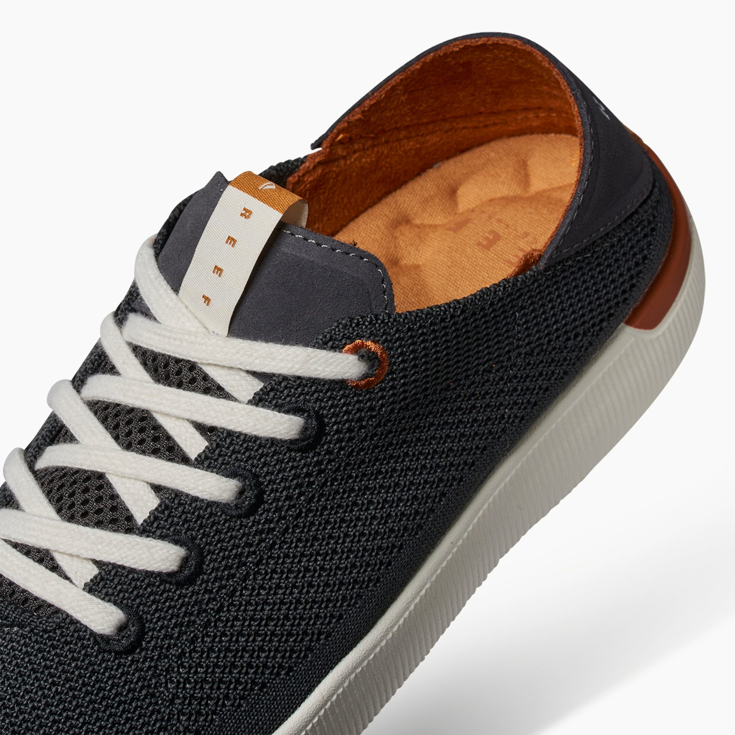 Reef Neptune - Image 10