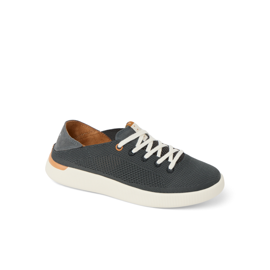 Reef Neptune - Image 5