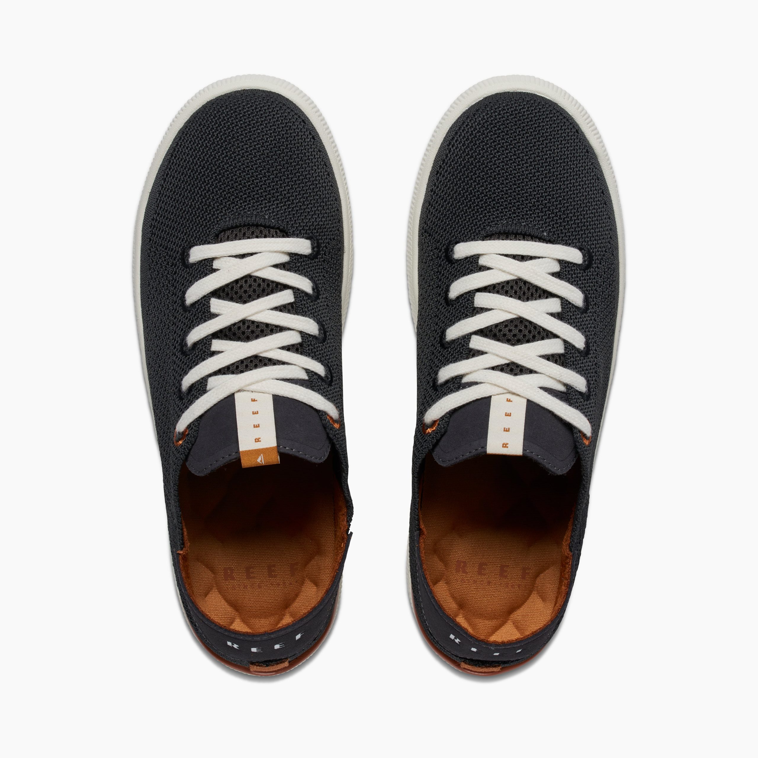 Reef Neptune - Image 6