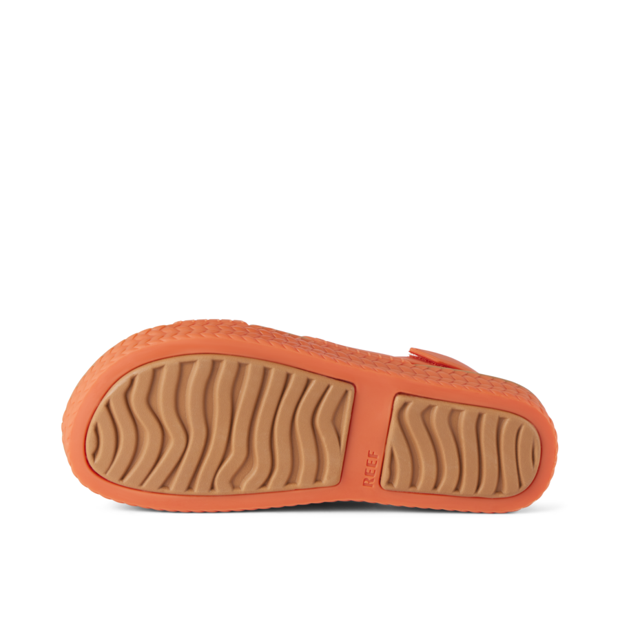 Reef Water Vista - Image 5