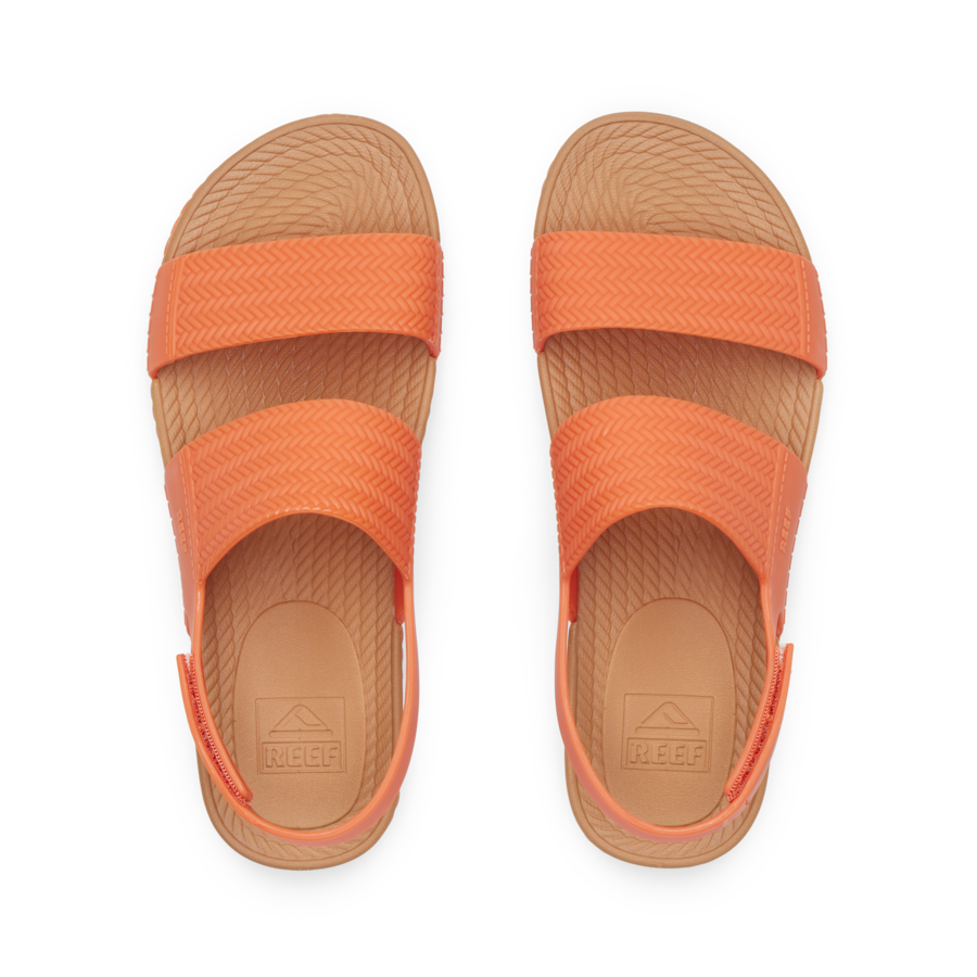 Reef Water Vista - Image 4