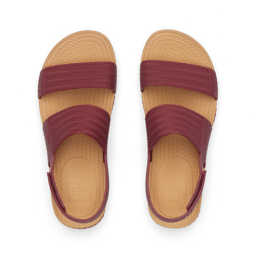 Reef Water Vista - Image 4