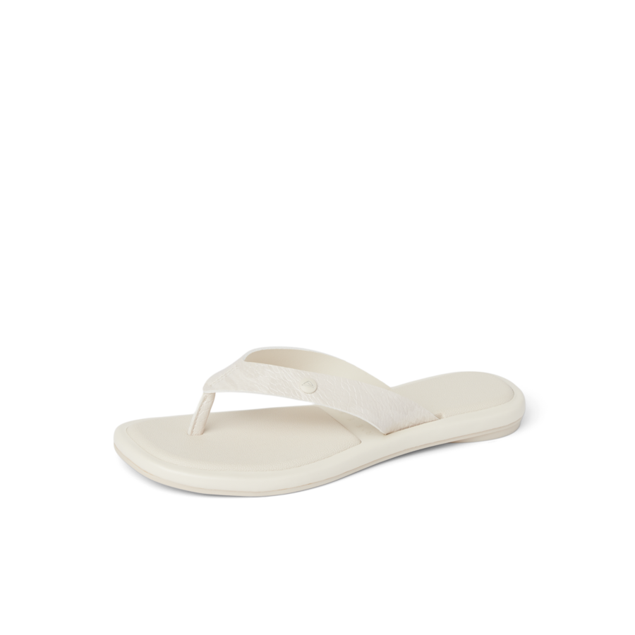 Willow Ella - Image 9