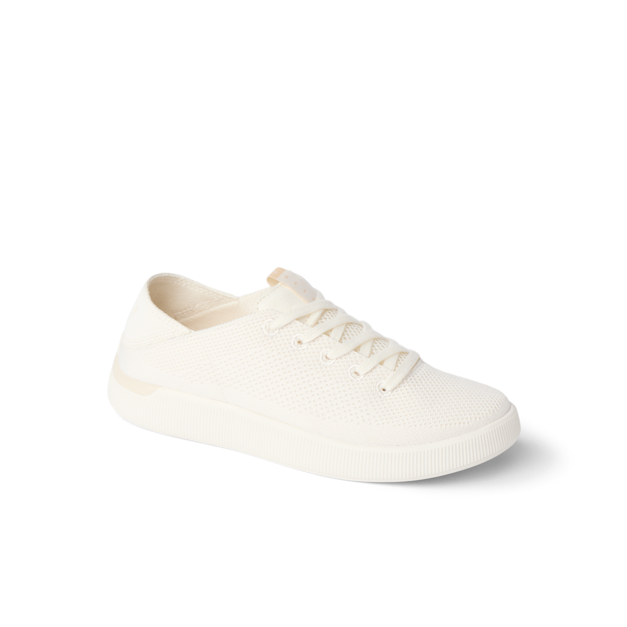 Reef Neptune - Image 2