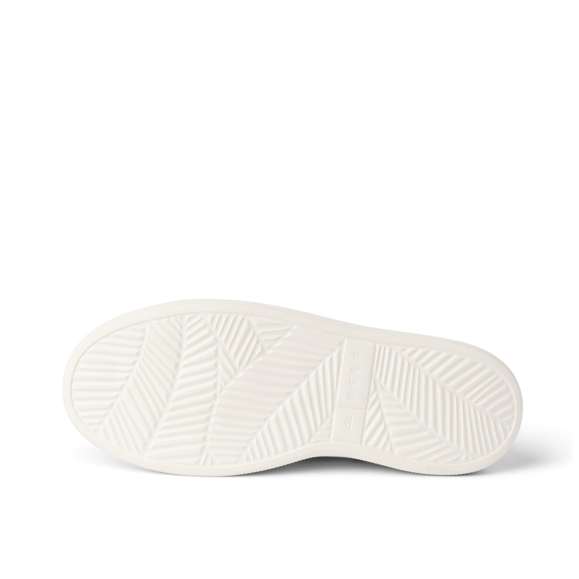 Reef Neptune - Image 4