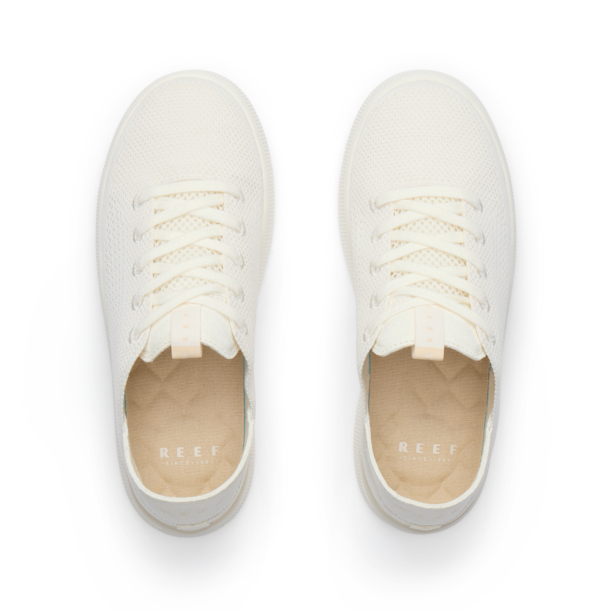 Reef Neptune - Image 3