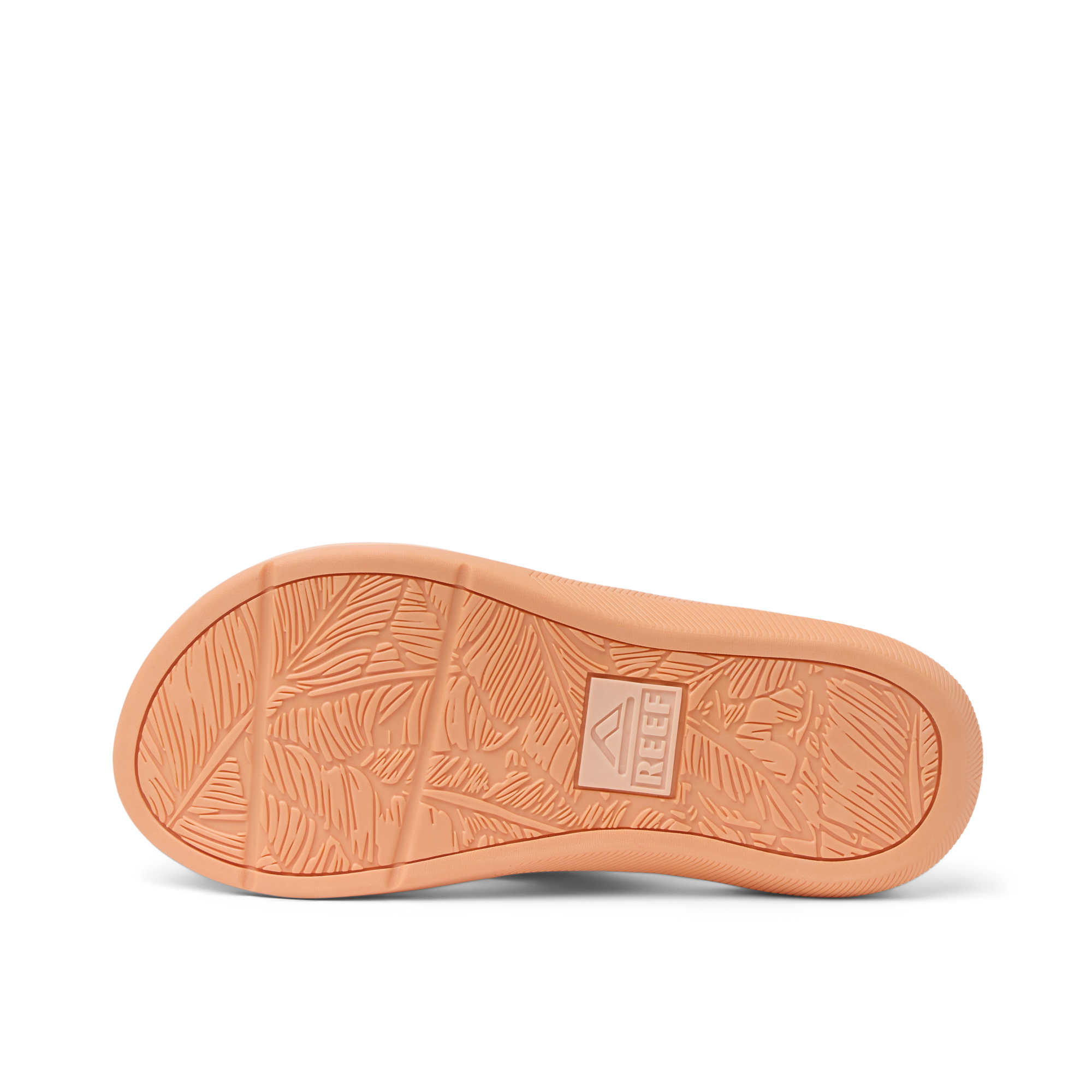 Kids Santa Ana - Image 4