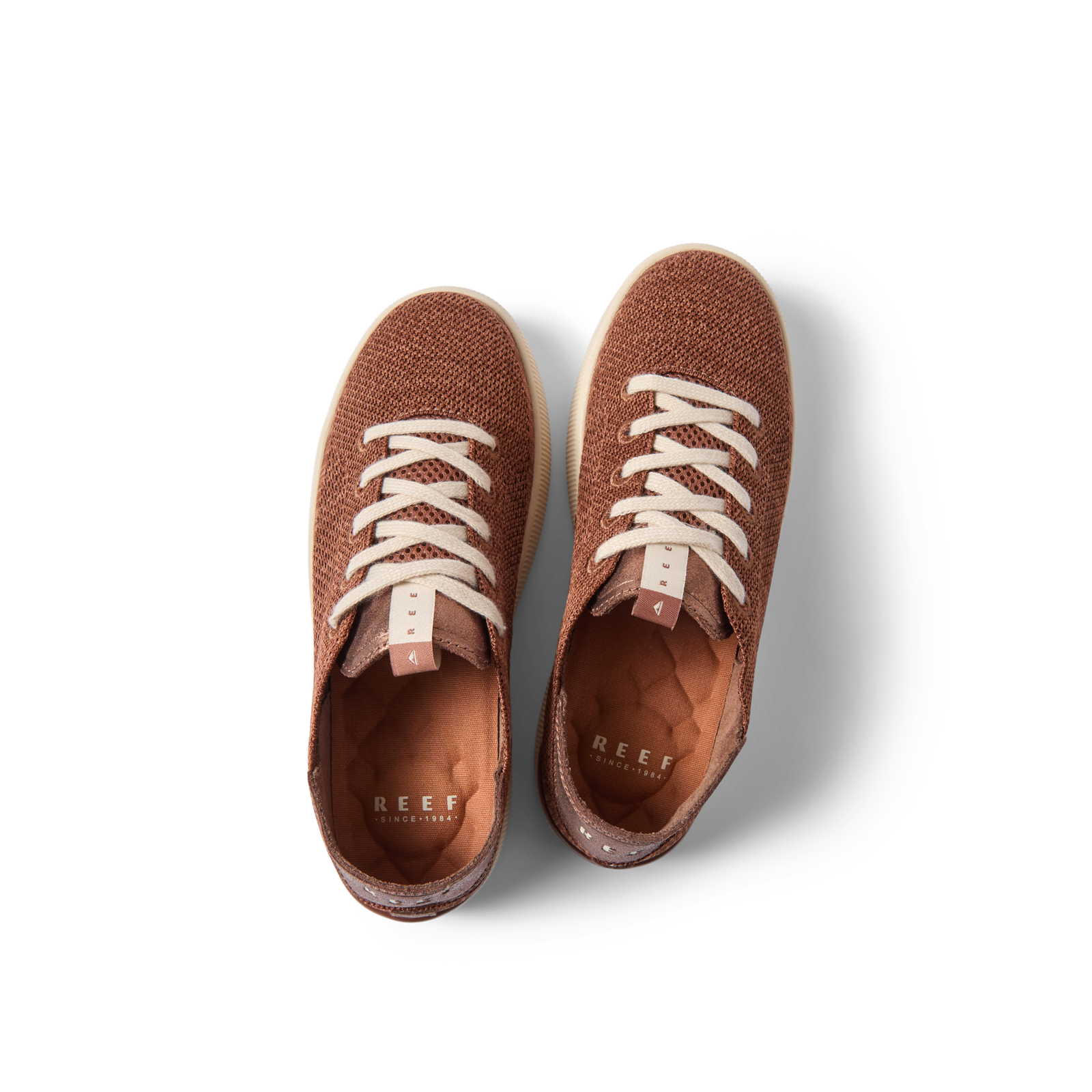 Reef Neptune - Image 5