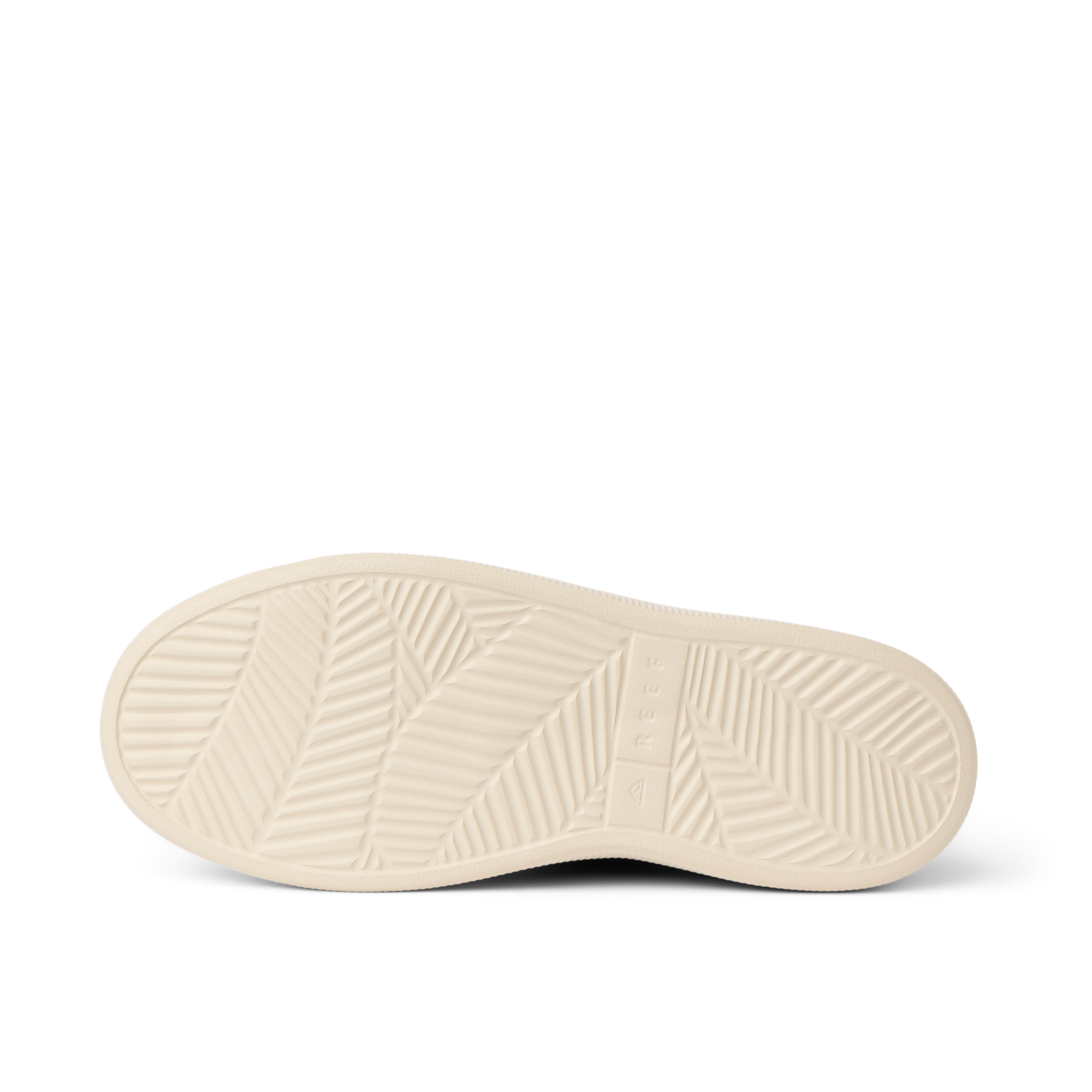 Reef Neptune - Image 6