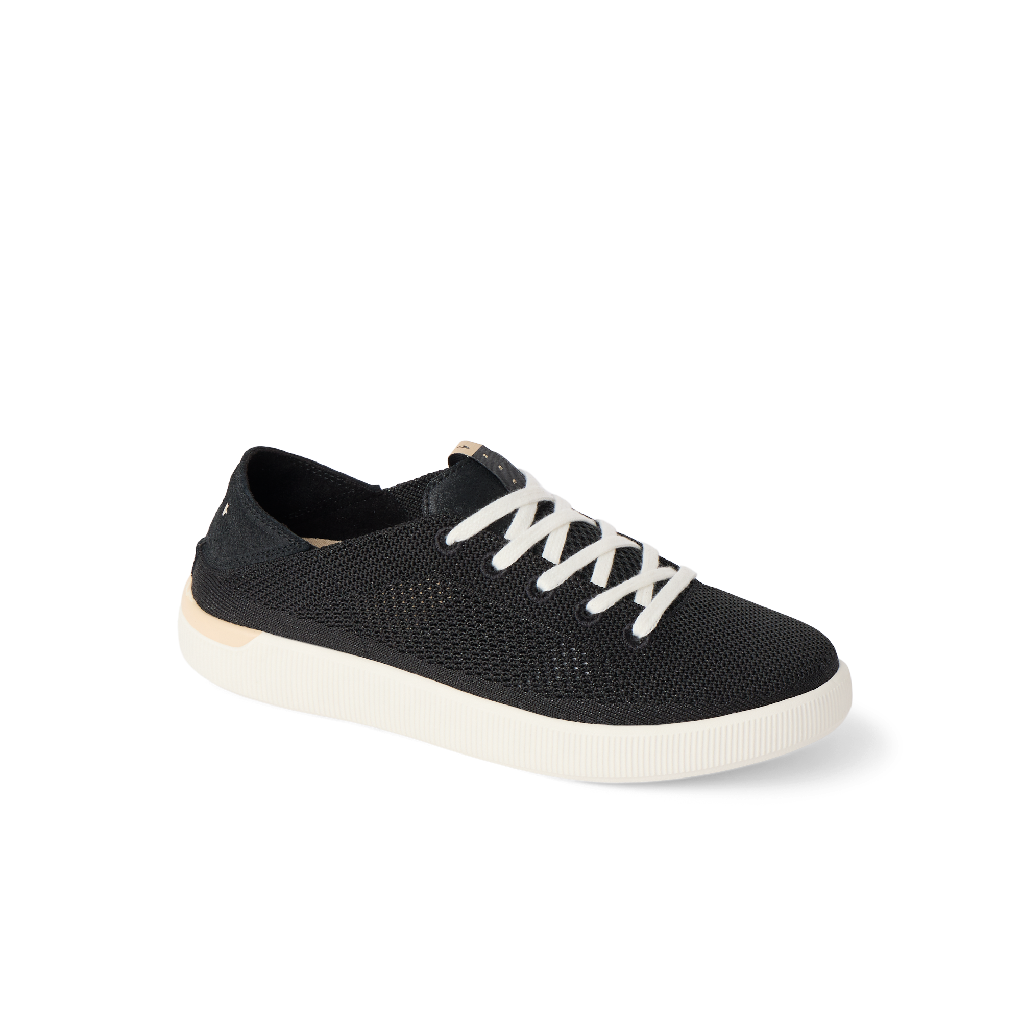 Reef Neptune - Image 5