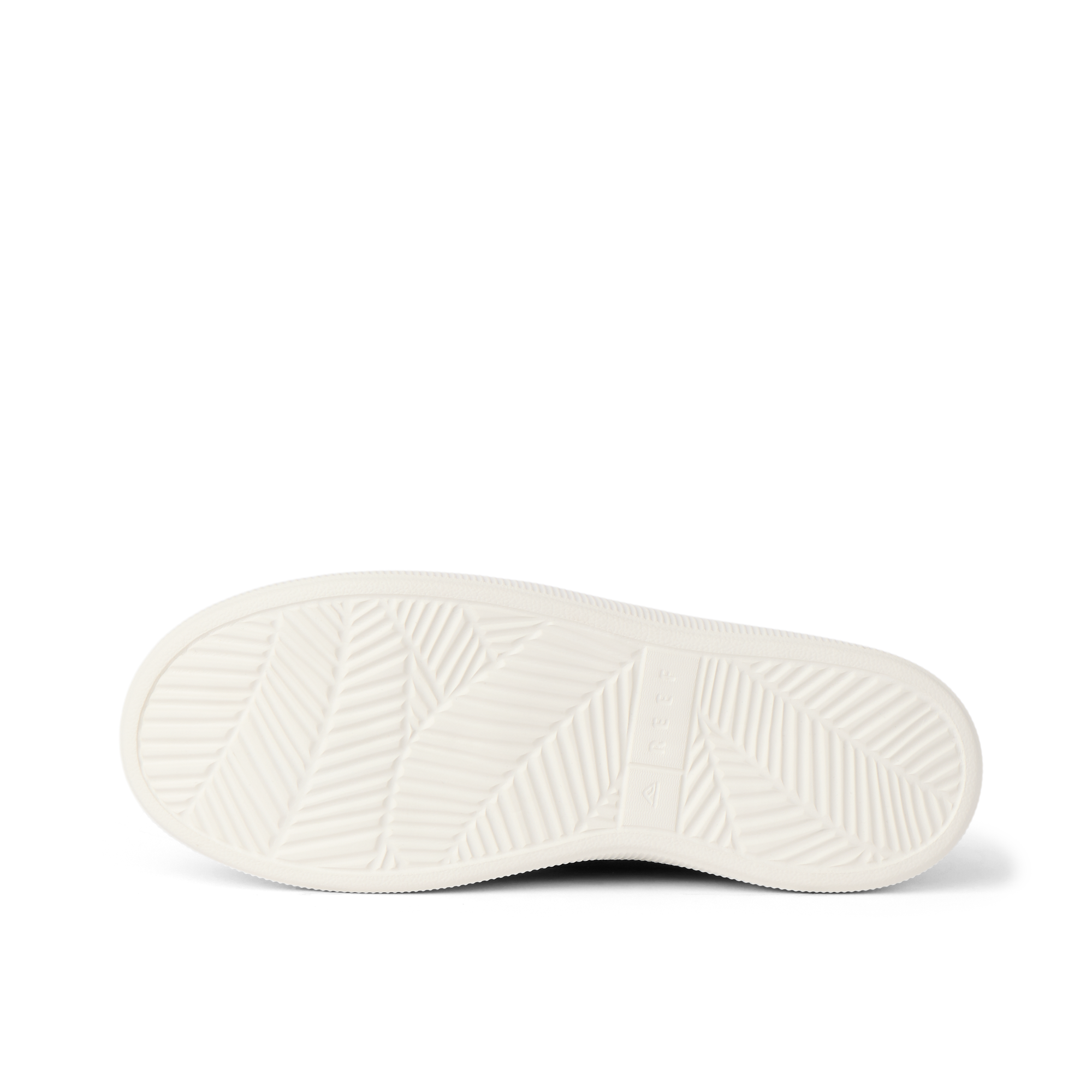 Reef Neptune - Image 6