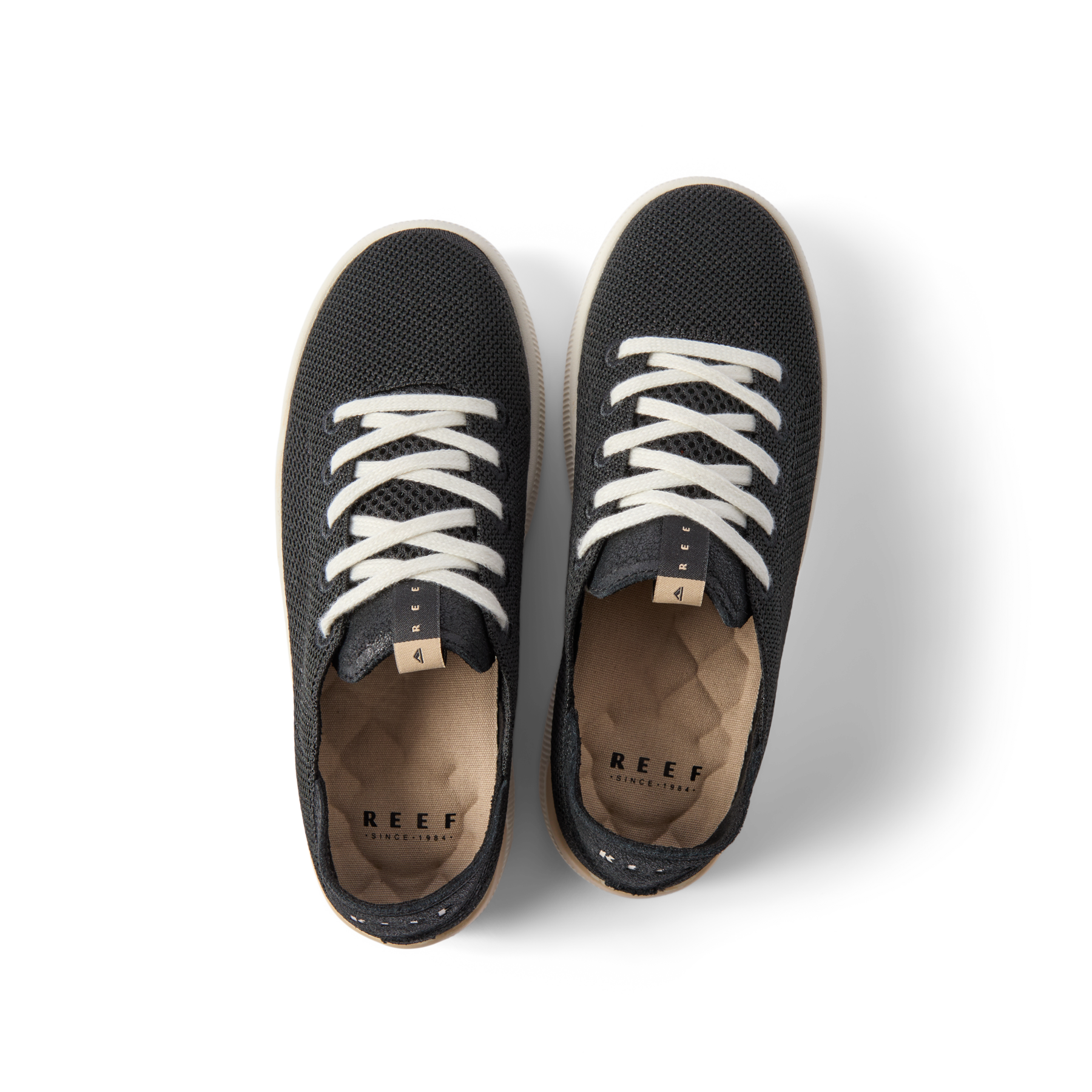 Reef Neptune - Image 3