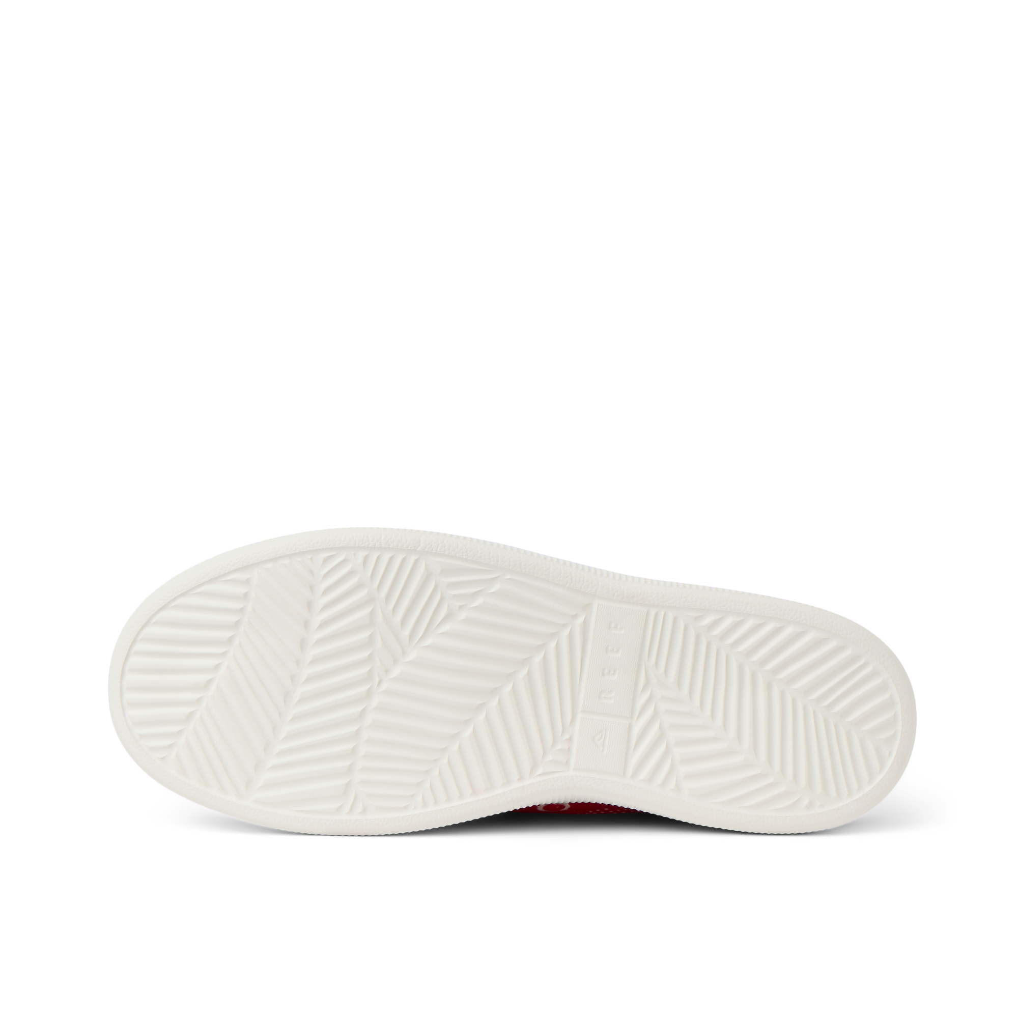 Reef Neptune - Image 7