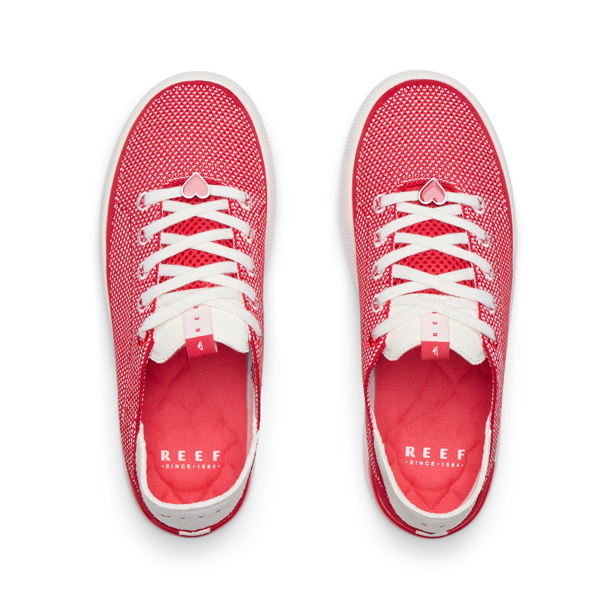 Reef Neptune - Image 5