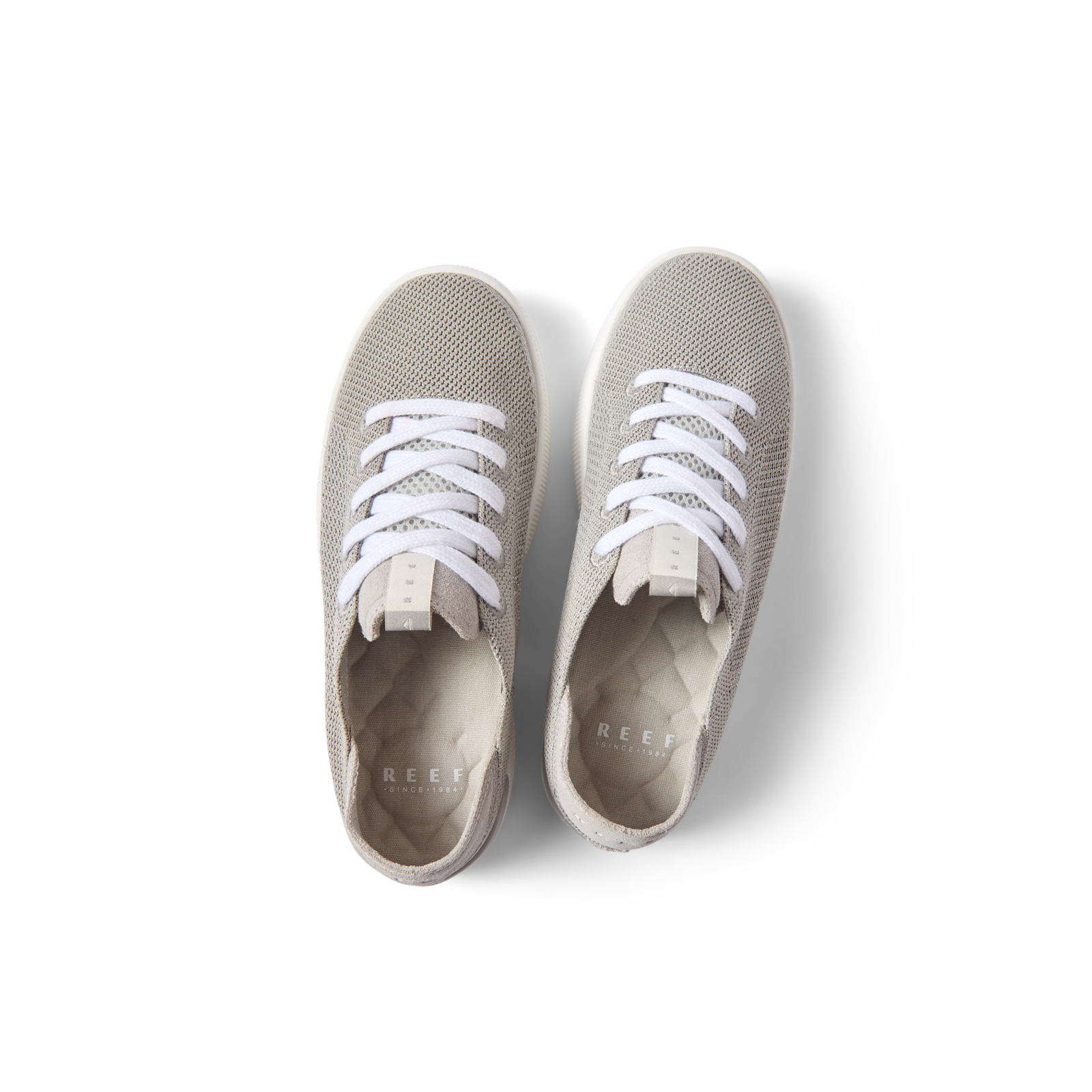 Reef Neptune - Image 4