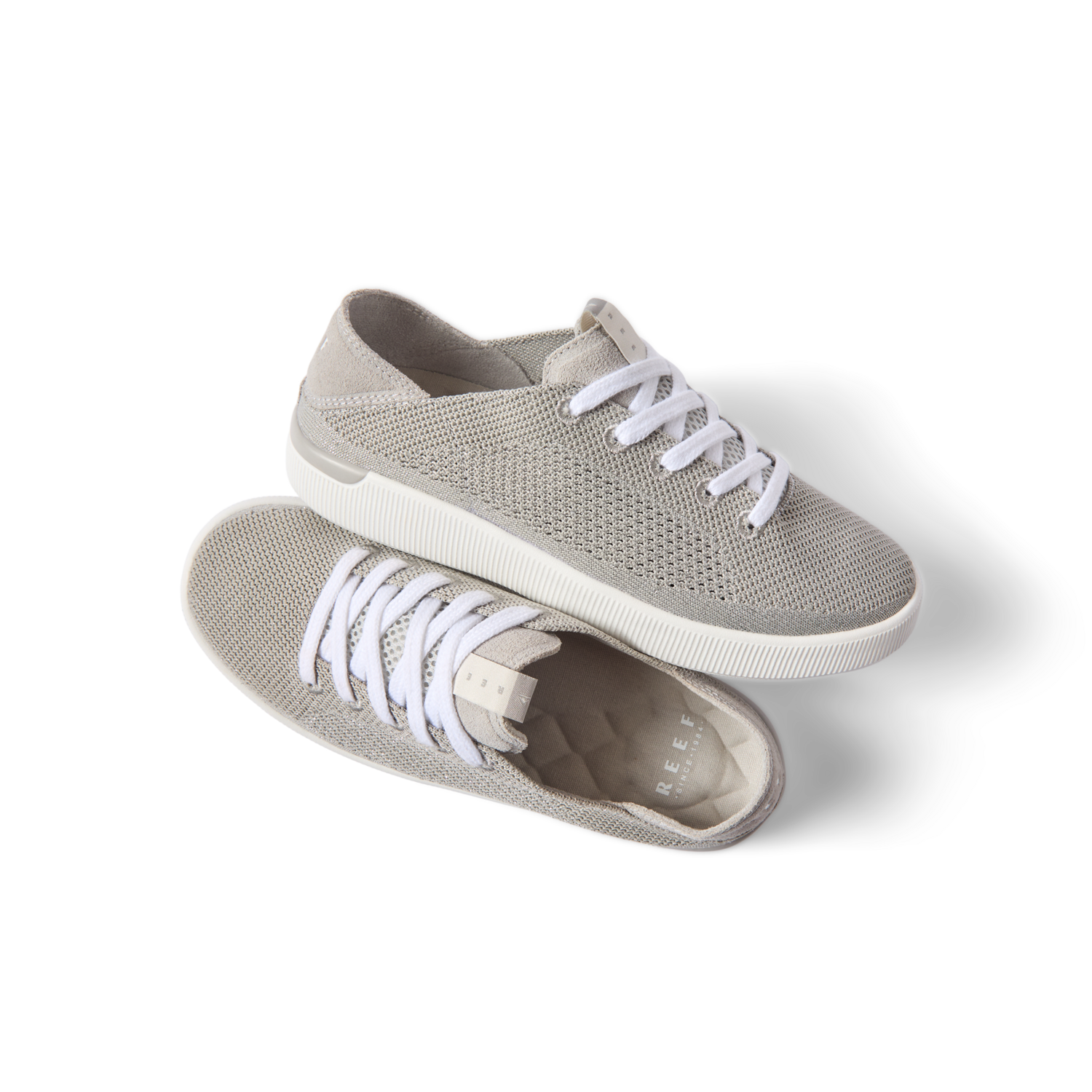 Reef Neptune - Image 2