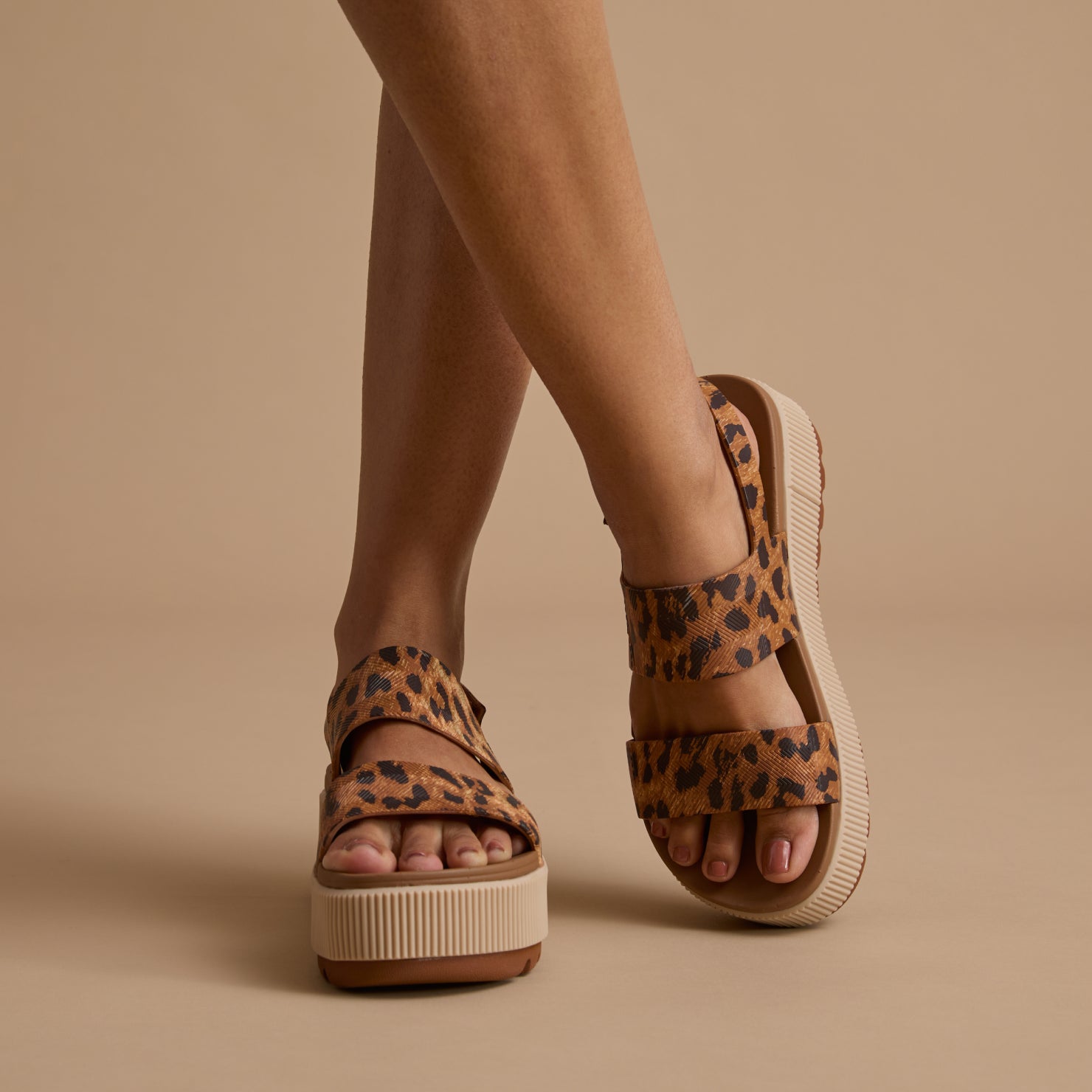 Water Vista Higher - Image 7