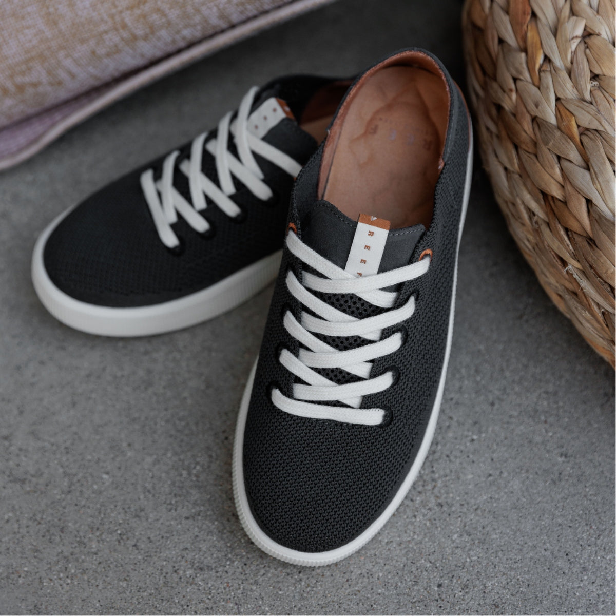 Reef Neptune - Image 4